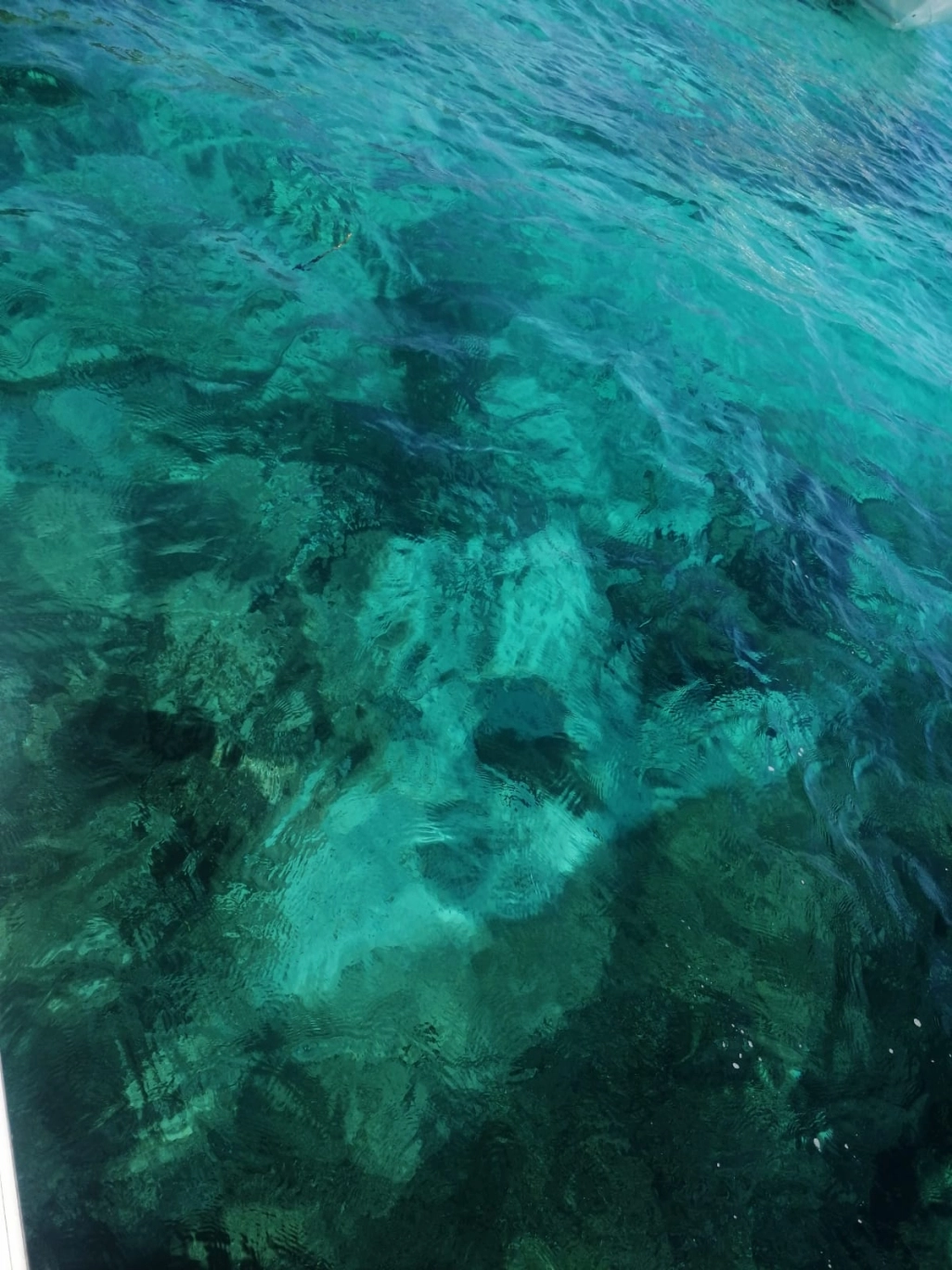 Family trip: Saint Cassien Lake and charming French Riviera’s countryside: full day tour