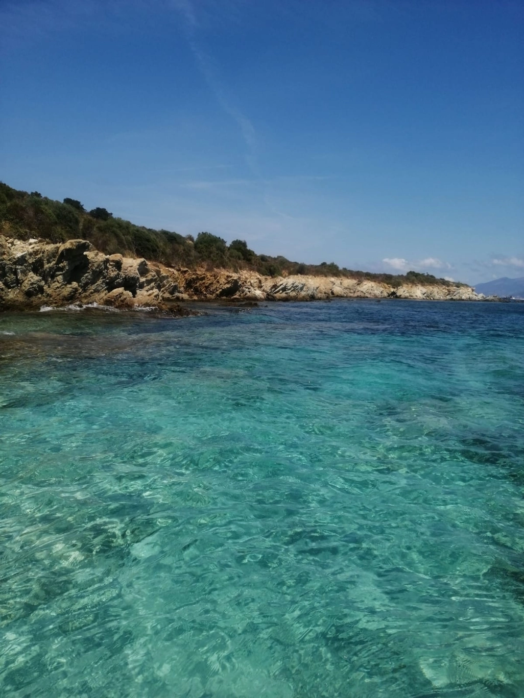 My Provence: Cassis and Marseille: Full-day tour